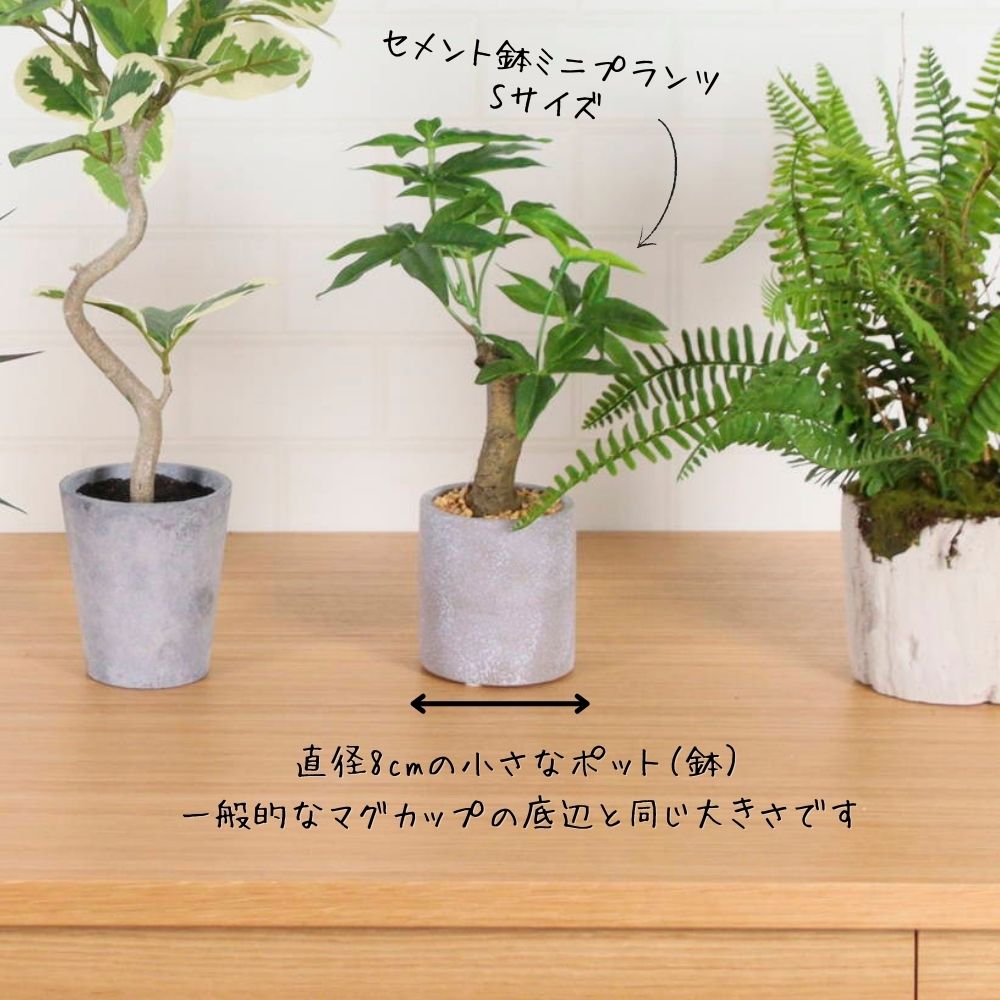 おしゃれでちょっとこだわりの雑貨・日用品・ディスプレイ,インテリア