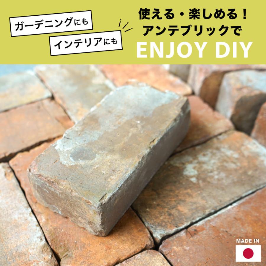 アンテブリック S008 ヴィンテージ ケース 8個入※代引き不可・メーカー直送品