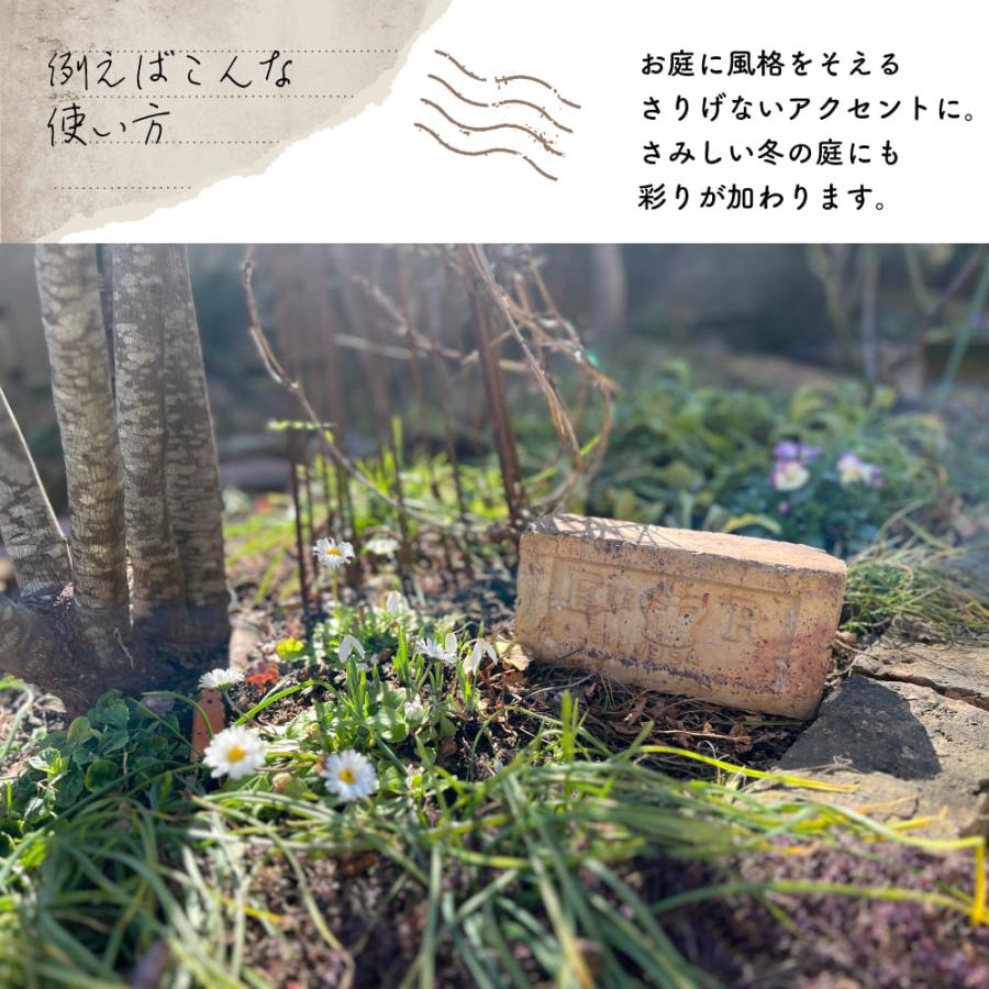 アンテブリック クラウン 1個※代引き不可・メーカー直送品