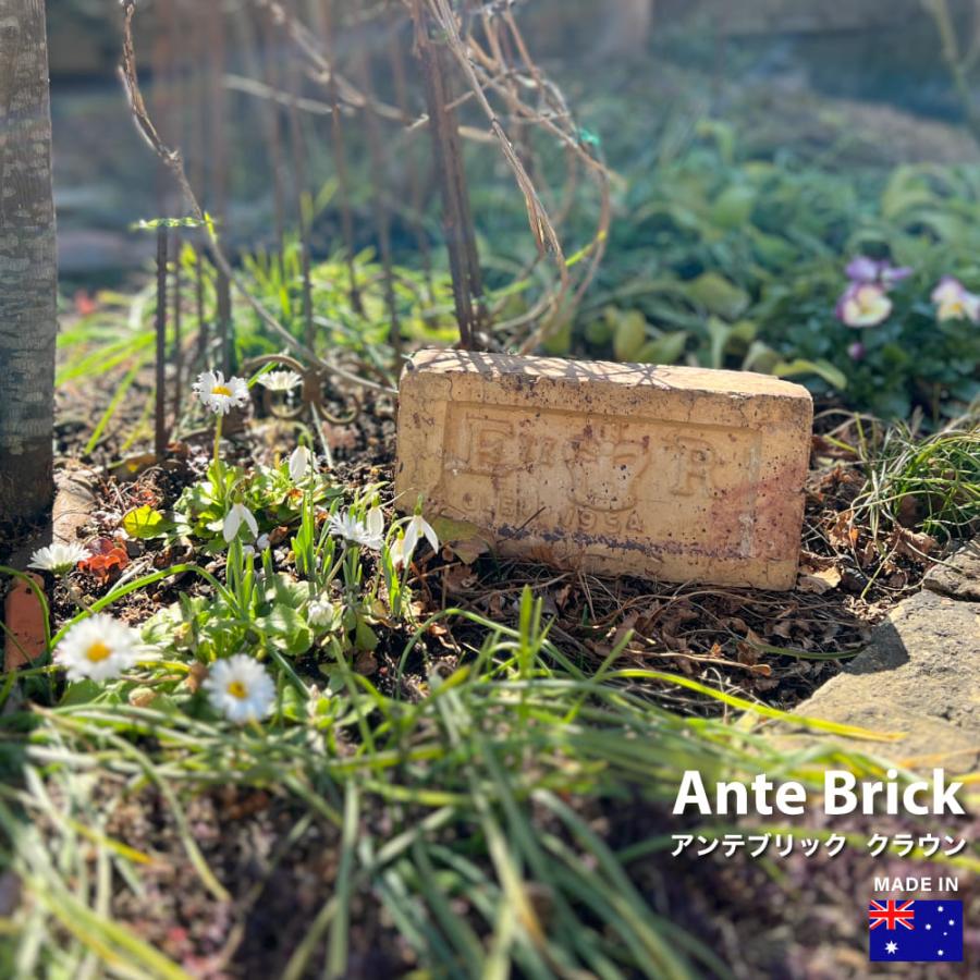 アンテブリック クラウン 1個※代引き不可・メーカー直送品