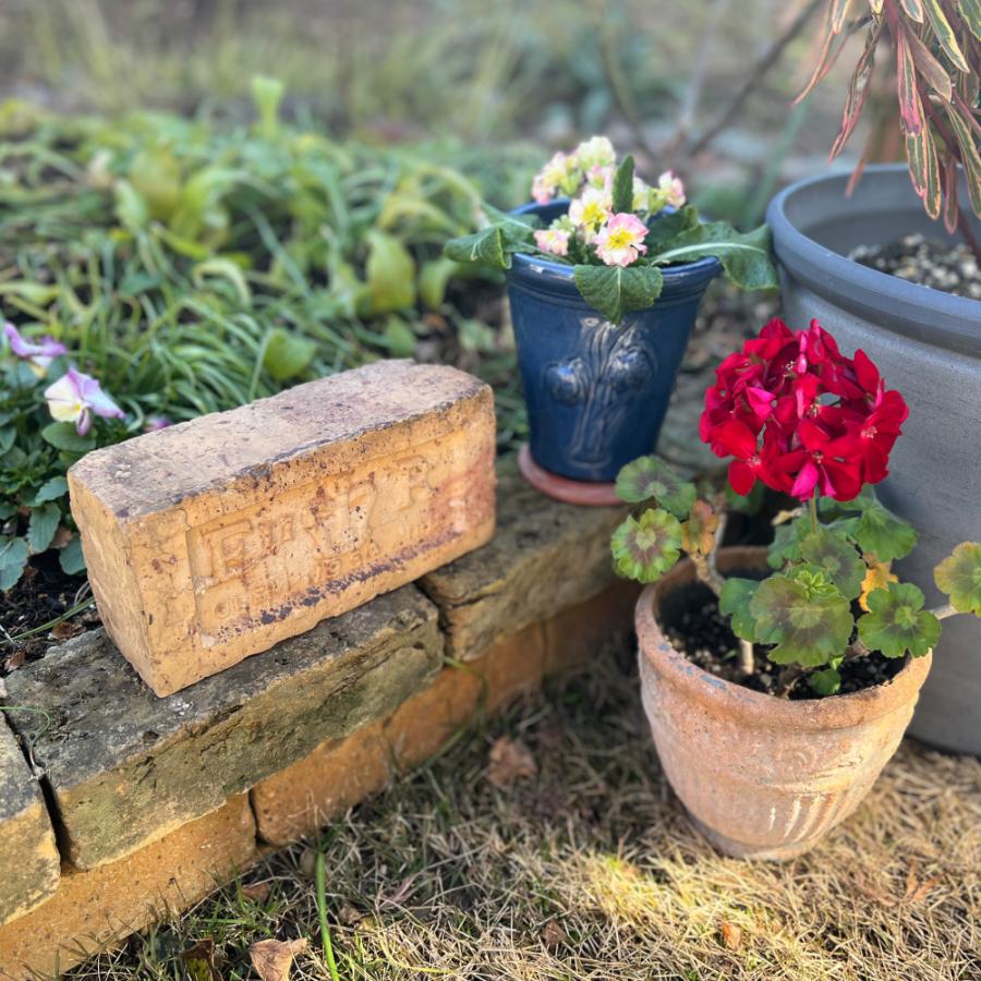 アンテブリック クラウン 1個※代引き不可・メーカー直送品