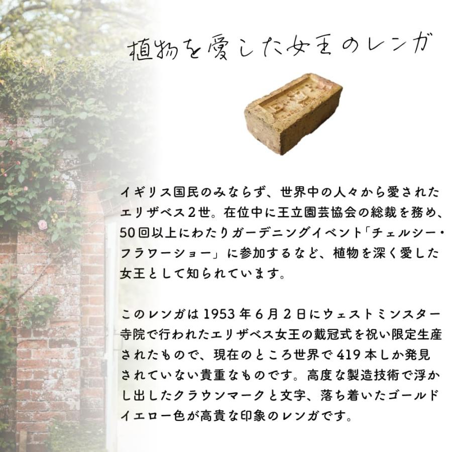 アンテブリック クラウン 1個※代引き不可・メーカー直送品