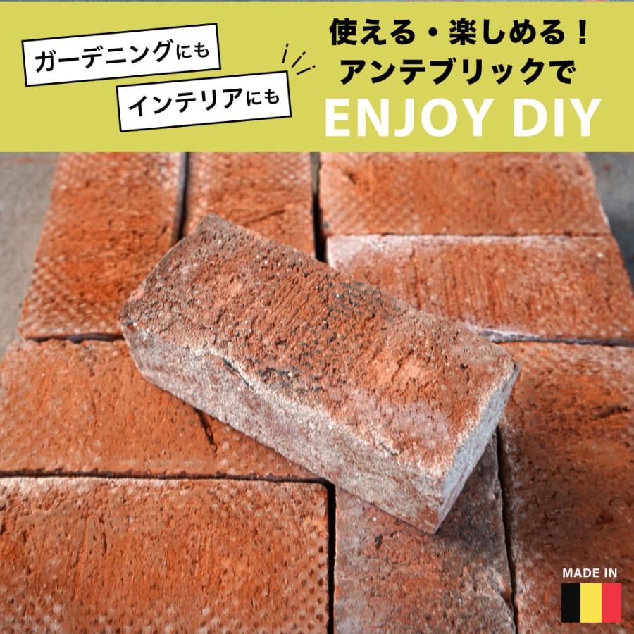 アンテブリック 950 エステートバロック ケース 8個入※代引き不可・メーカー直送品