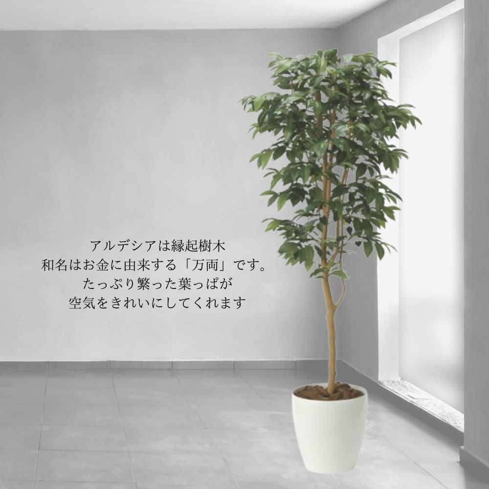 光触媒 人工観葉植物 フェイクグリーン アルデシア(万両) 90cm 【公式