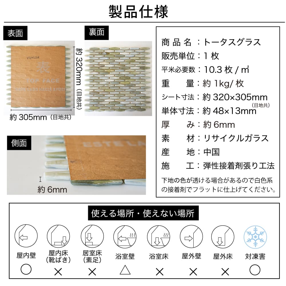 【アウトレット】トータスグラス 全7色 1シート