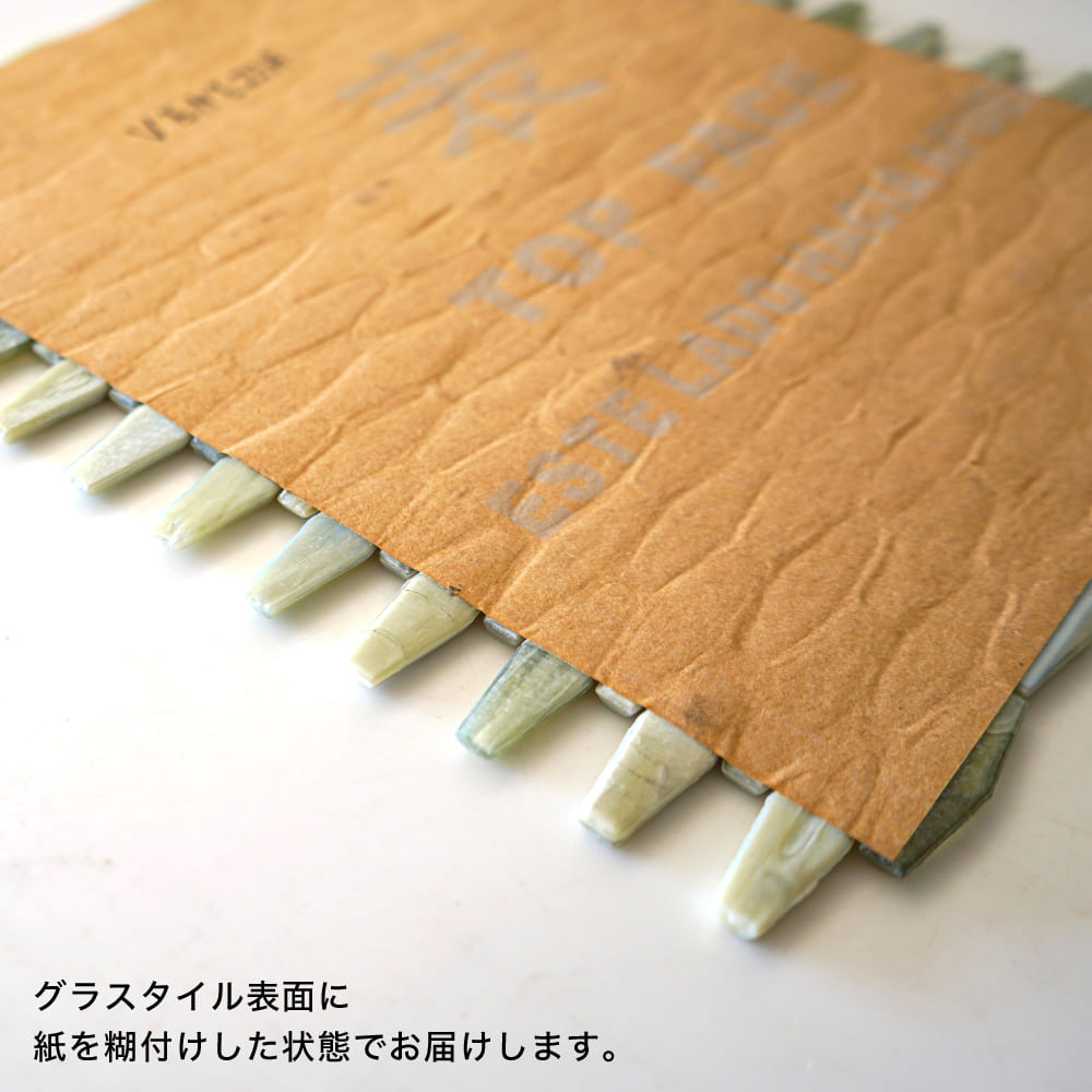 【アウトレット】トータスグラス 全7色 1シート