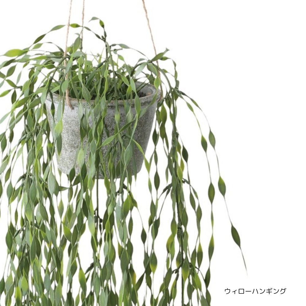 フェイクグリーン 人工観葉植物 壁掛け 吊り下げ ハンギング キッチン ナチュラル(ウィローハンギングポット)