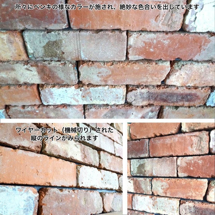 レンガ壁用　アンテウォール　1306 バラ