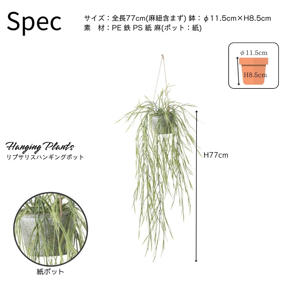 壁掛け インテリアグリーン 吊るして飾る ハンギング グリーン アーティフィシャル(リプサリスハンギングポット)