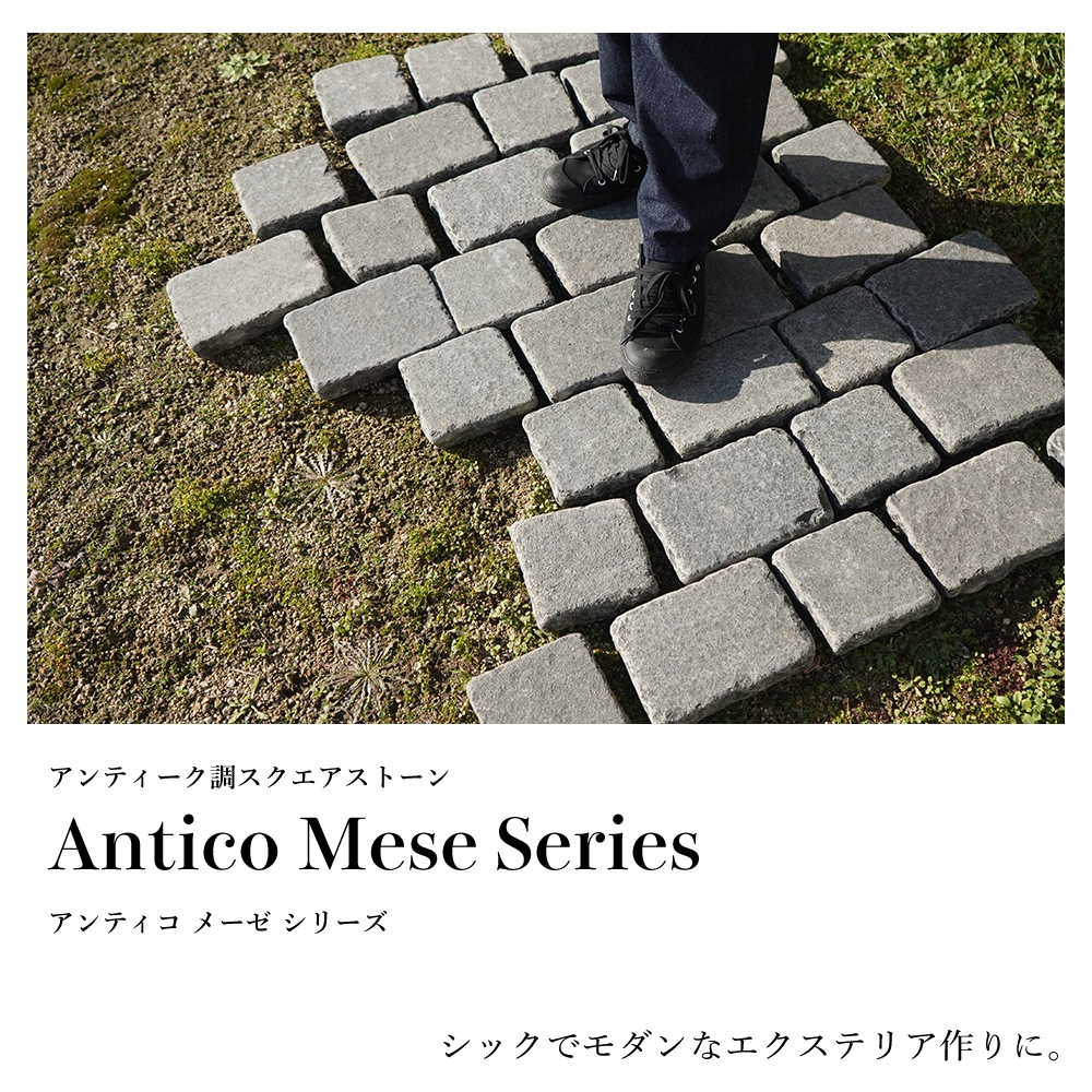 アンティコメーゼ2014 一束　6個入