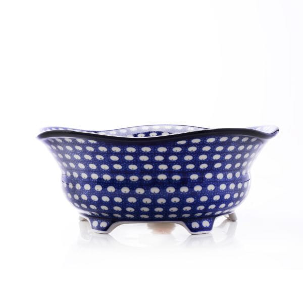 �ɥ̡��� ������ȭ