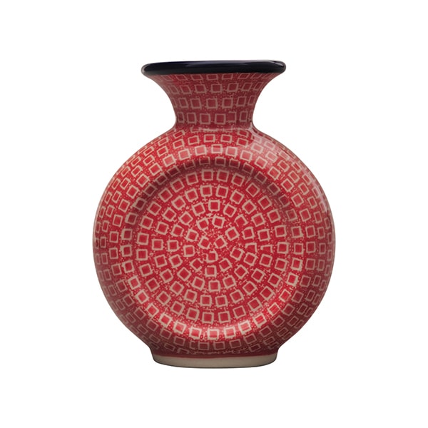 �ץƥ��ѥ�����å� �ִ�