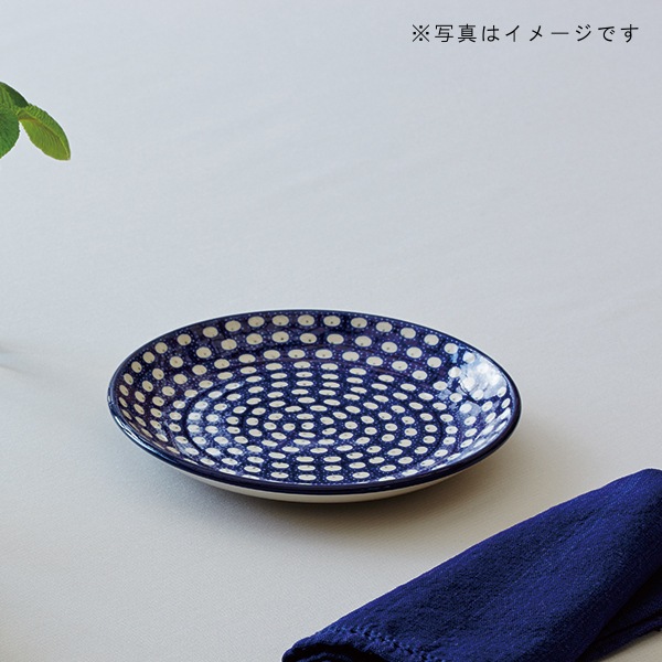 �ɥ̡��� �ץ졼�ȡ�20cm)[CR539]