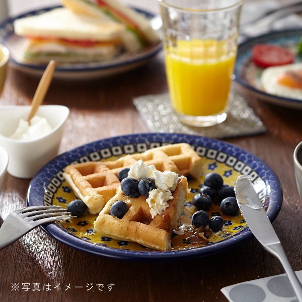 ���ե�� �ץ졼�ȡ�24cm)[CR523]