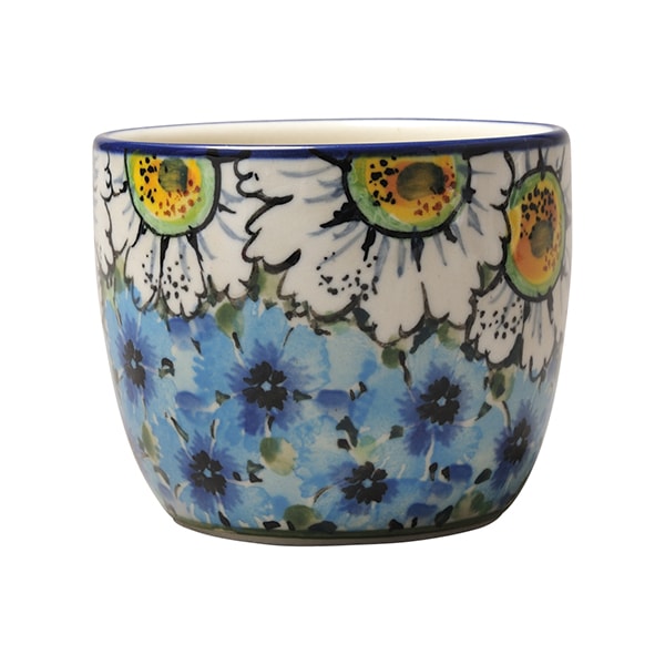 65��ǯ��ǥ�BLUE65 ���Х��祳(0.17L��