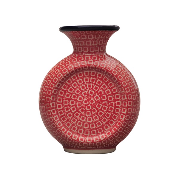 �ץƥ��ѥ�����å� �ִ�