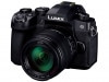 ѥʥ˥å(Panasonic)ߥ顼쥹 LUMIX DC-G99H ɸॺ󥺥åȿʡ¨Ǽ