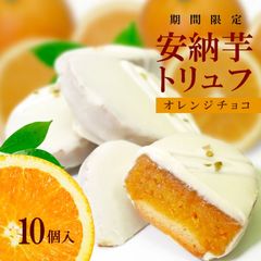 ڸ۰Ǽȥա֥󥸡ץ祳졼10