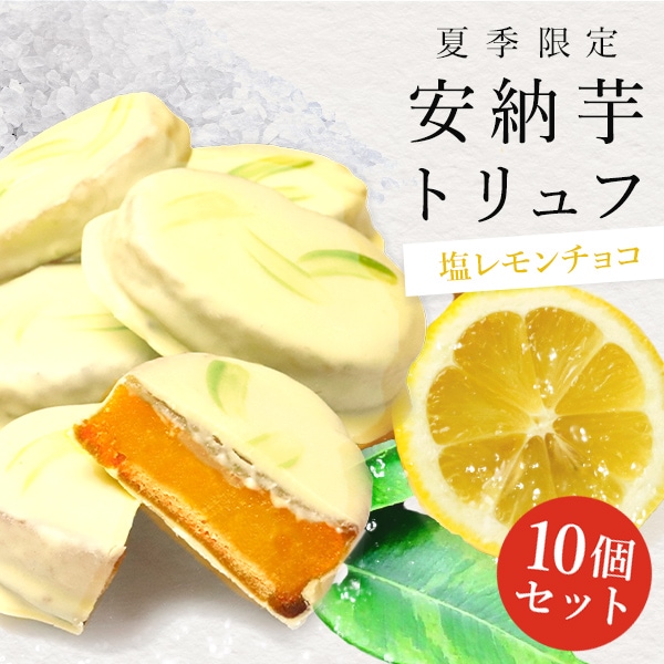 ڡ10ĥåȡ۰Ǽȥաֱץ祳졼10ĥ