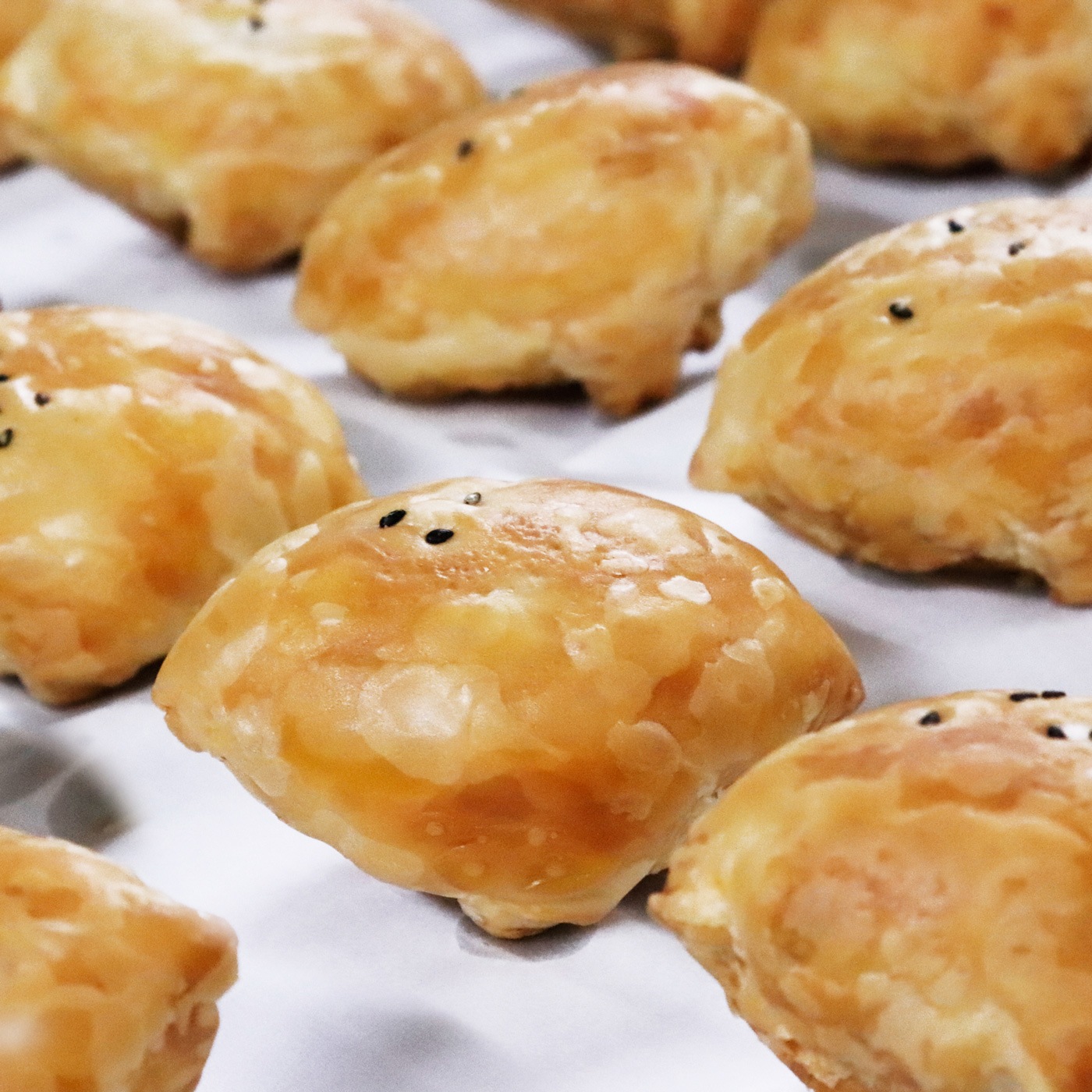 ��ѥ���9������(��Ǽ��Υ������ȥݥƥȥѥ�)