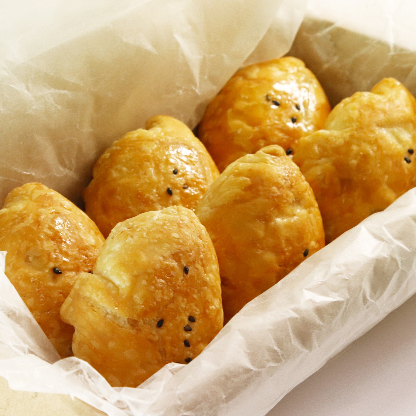 ��ѥ���9������(��Ǽ��Υ������ȥݥƥȥѥ�)