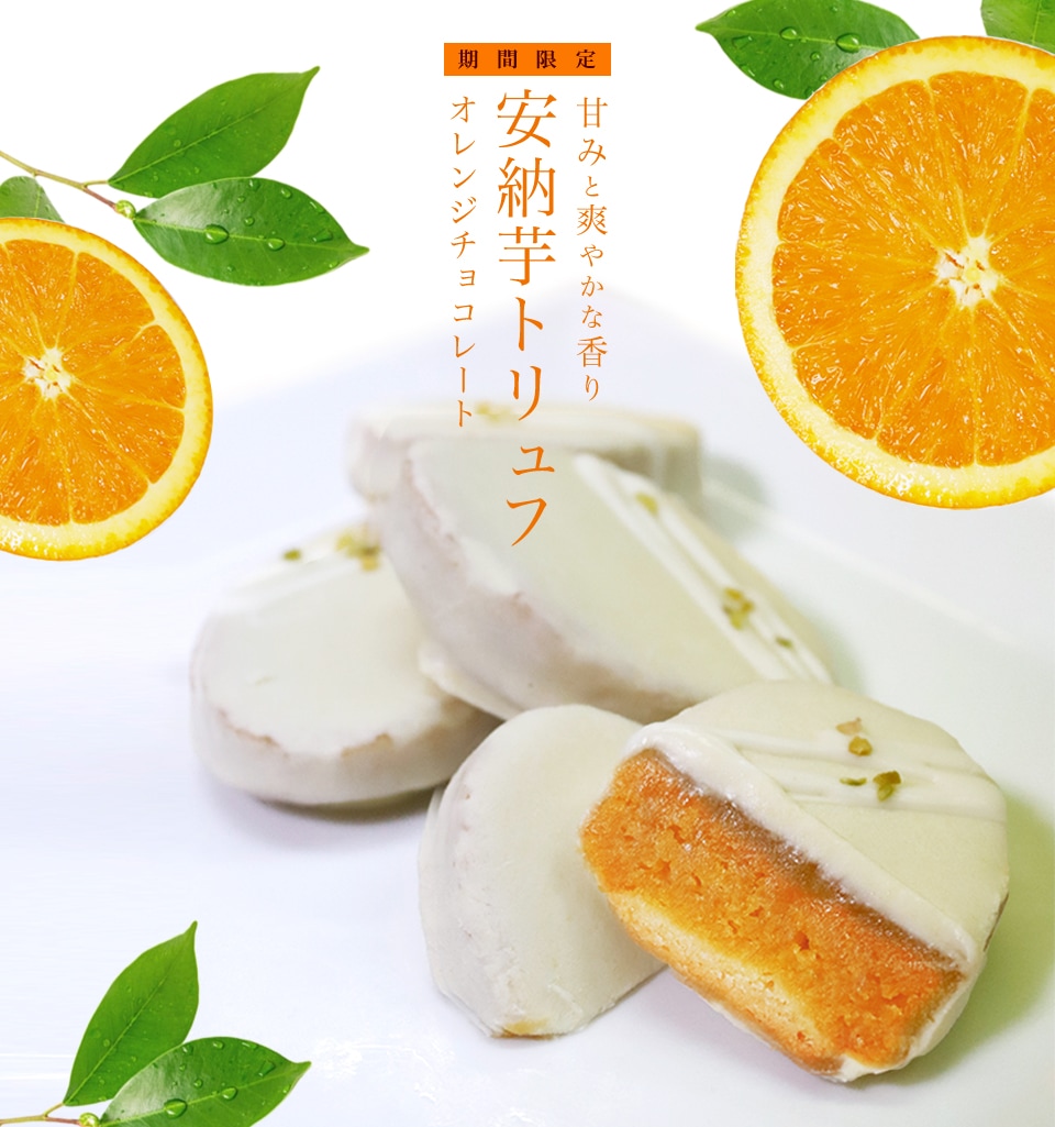 ڸ۰Ǽȥա֥󥸡ץ祳졼5