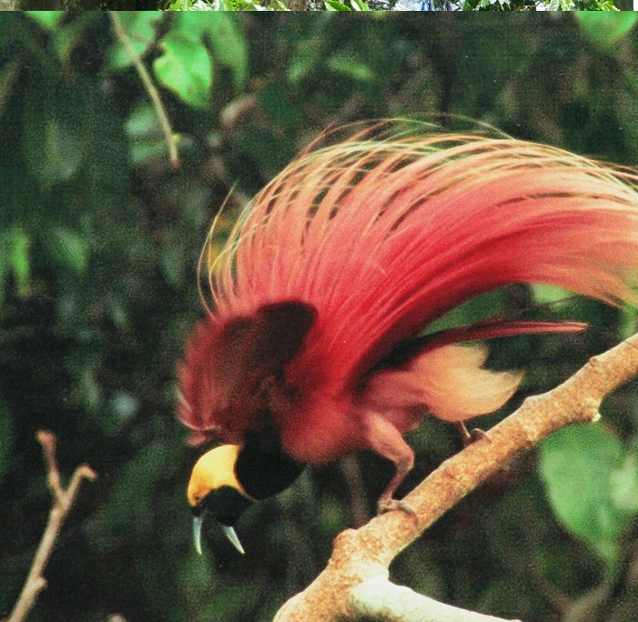 STD(ｽﾀﾝﾀﾞｰﾄﾞ) Washed (24/25) 60㎏麻袋※再入荷 | アジア・オセアニア