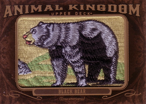 アメリカグマ エンターテイメントカード Black Bear 2013 UD Goodwin Champions Animal Kingdom