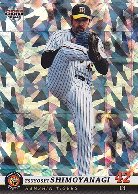 野球カード 綺羅カード 52枚　有名選手ノーマルカード200枚 下柳 剛】2007 BBM 阪神タイガース レギュラーカード パラレル 200枚