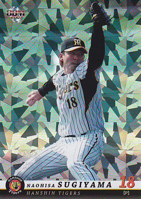 【杉山 直久】2007 BBM 阪神タイガース レギュラーカード パラレル　200枚限定！（189/200）（パラレルカード）（プロ野球カード）