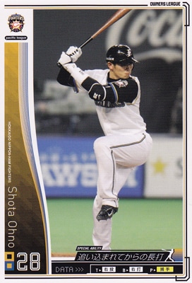 さしす様限定　プロ野球オーナーズリーグカード 47枚 カードダスドットコム 公式サイト | 商品情報 - プロ野球 OWNERS