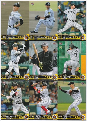 プロ野球カード 2017 BBM 阪神タイガース レギュラーカード＋インサート コンプリートセット 全99枚！