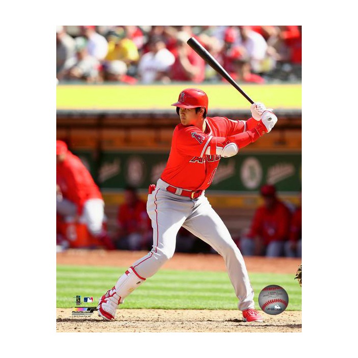 大谷翔平 公式ライセンス 8x10フォト 164640-6-