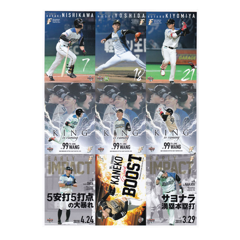 プロ野球カード 2019 BBM 北海道日本ハムファイターズ レギュラーカード コンプリートセット 全81枚！
