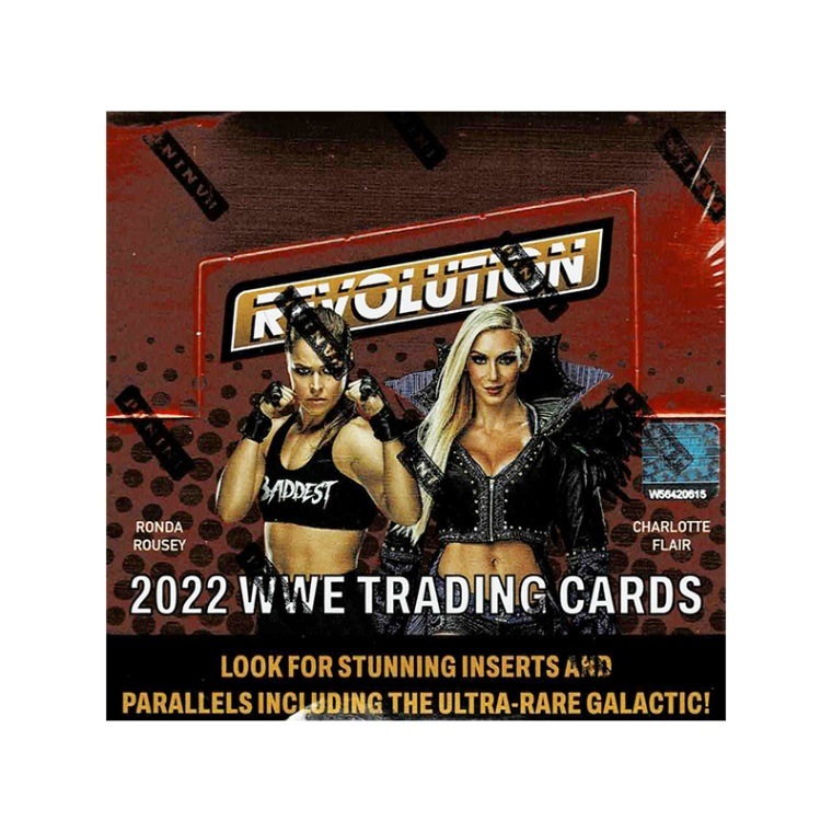 ☆特別価格 2022 100 サインカード スティーブオースチン PANINI