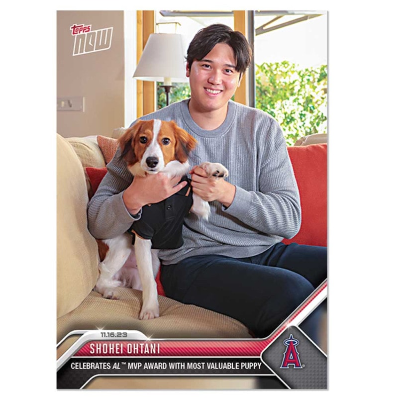 大谷翔平 #OS-19 2023年アメリカン・リーグMVPの受賞を愛犬と一緒に祝福した記念カード- Celebrates AL MVP Award With Most Valuable Puppy Shohei Ohtani 2023 Topps Now Card 12/6入荷