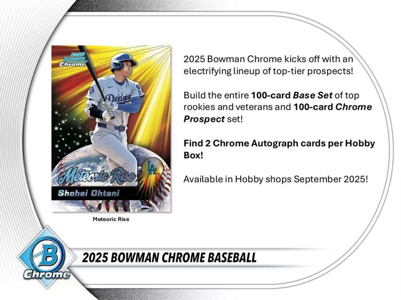メジャーリーグカード（金属カード） MLB 2025カード
