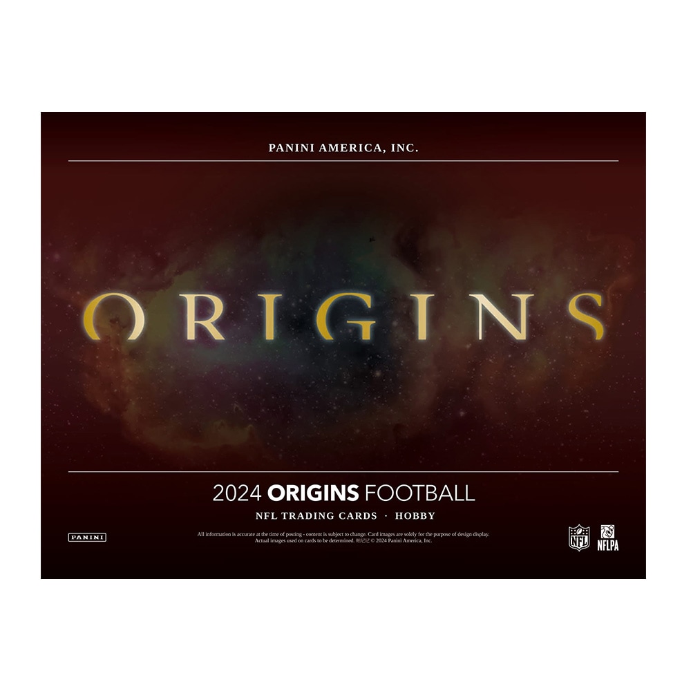 18-19 PANINI Immaculate モドリッチパッチジャージカード