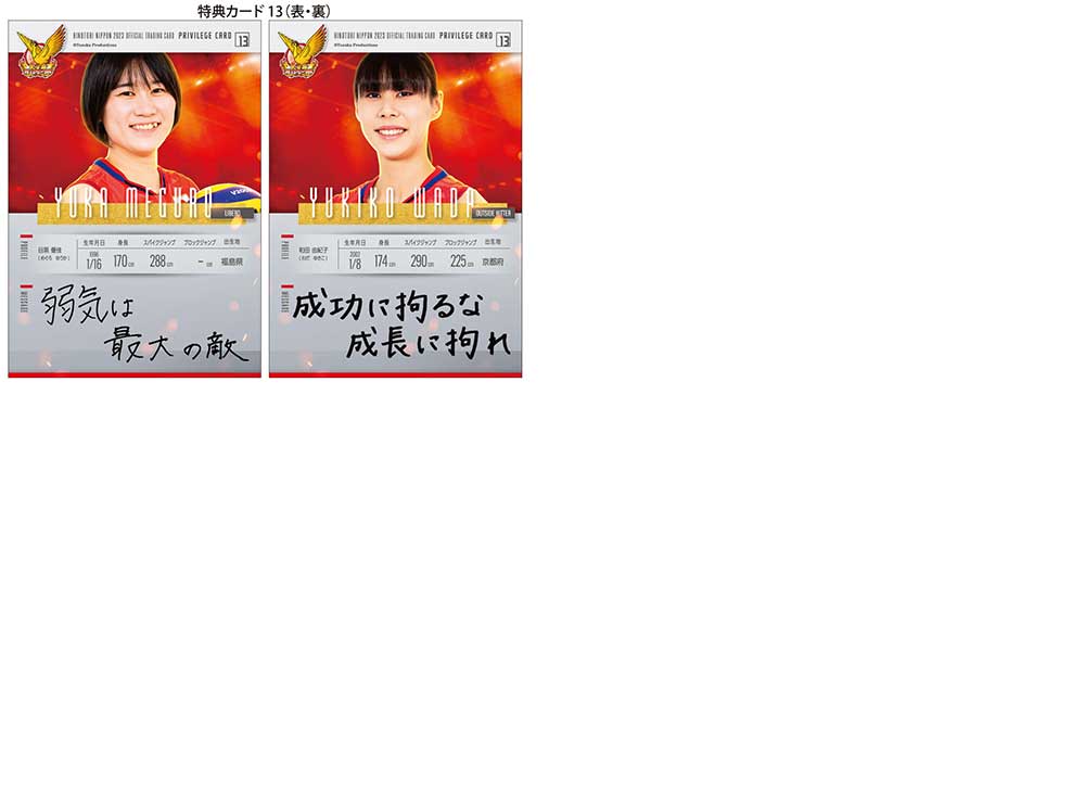 柴田真果 カードセット【 直筆サインあり】 乃木坂46 サイン入り