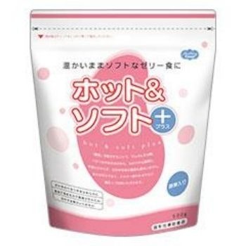 �ۥåȡ����եȥץ饹��500��