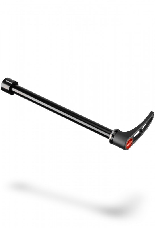 DT SWISS RWS 12��142 E���롼��