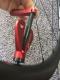 DT SWISS Bladed Spoke Holder 0.8-1.0mmݡѥۥ