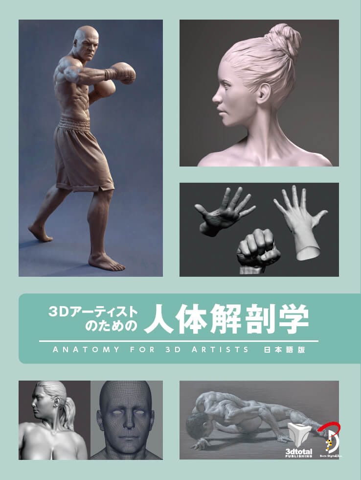 アート+エンタメ human anatomy for artists アーティストのための人体解剖学ビジュアルリファレンス