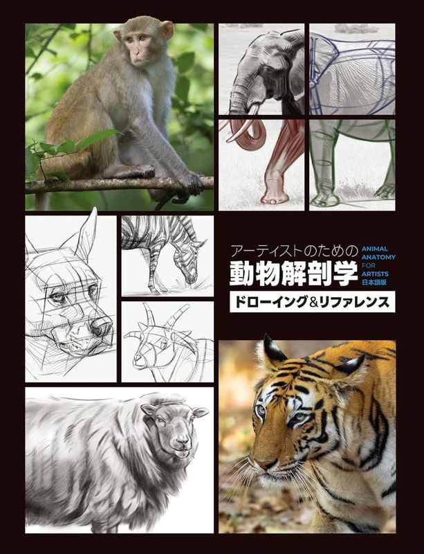 �����ƥ����ȤΤ����ưʪ��˶�ء��ɥ������󥰡���ե����