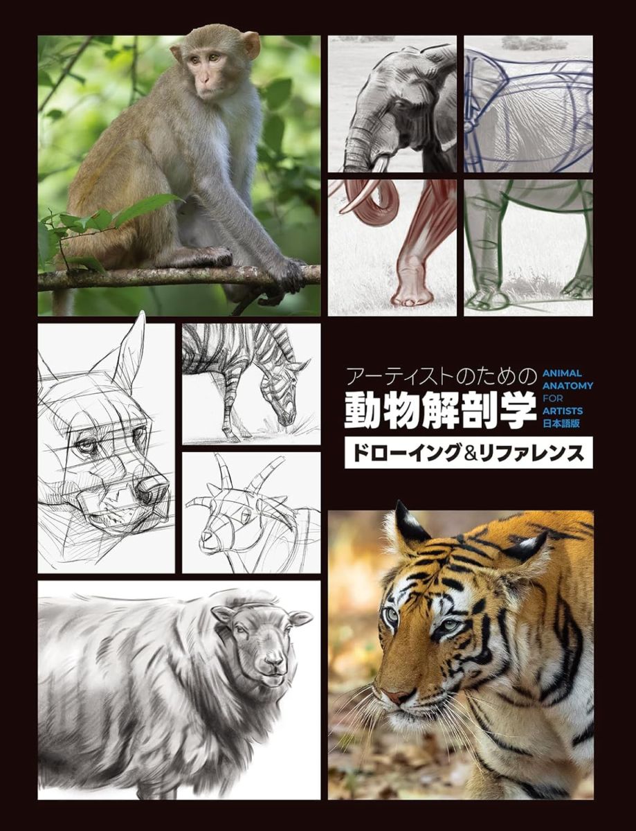 アーティストのための動物解剖学：ドローイング＆リファレンス | 書籍