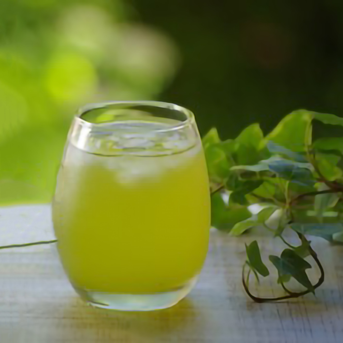 ＜夏季限定＞水出し専用茶葉｜お試し冷茶セット　6袋入