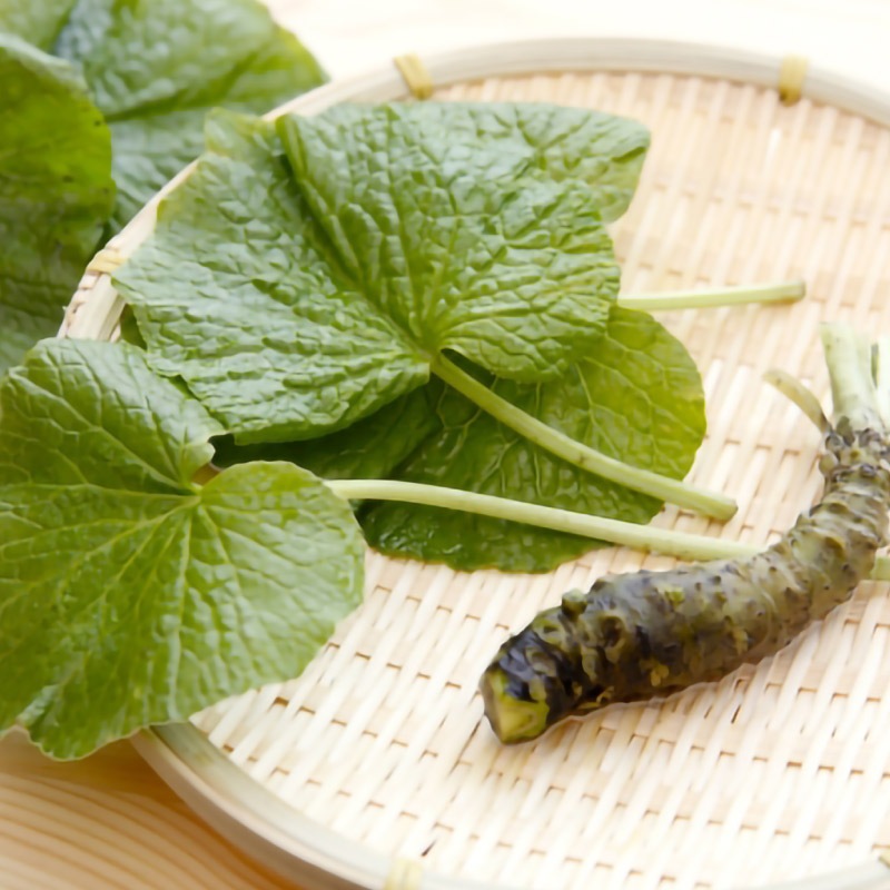 葉わさびの佃煮