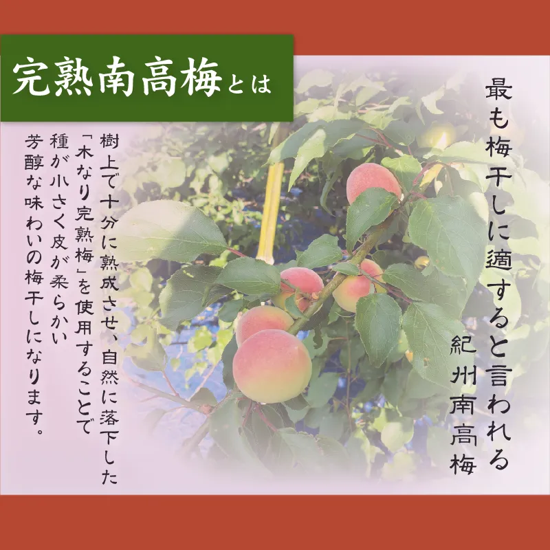 紀州みかん蜂蜜入り梅干　500g