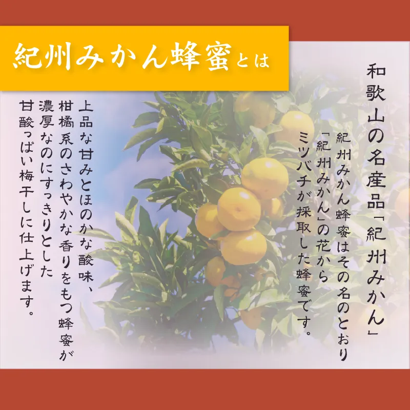 紀州みかん蜂蜜入り梅干　500g