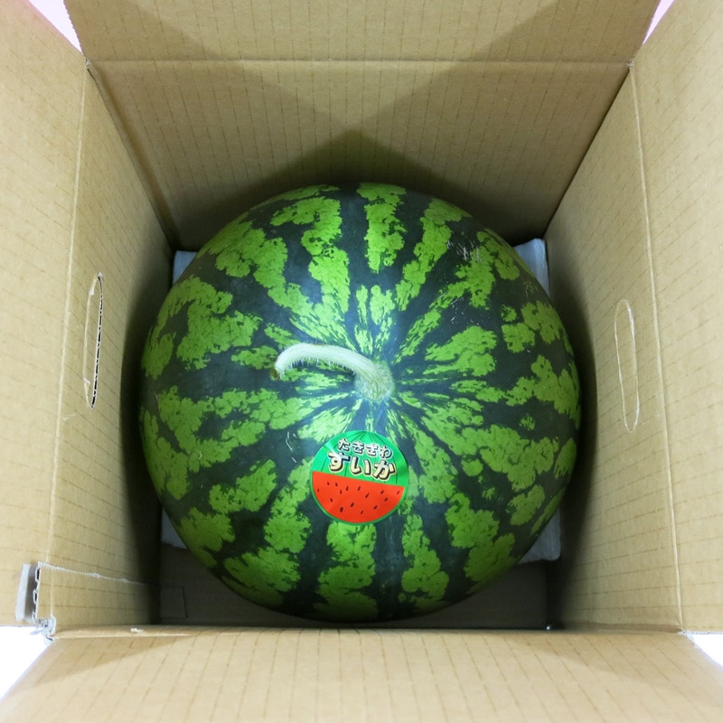 滝沢スイカ（たきざわグリーンワークス）【期間限定】 - 野菜・果物